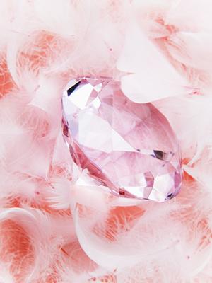 コネクトシップを採用する結婚相談所